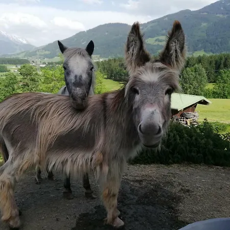 Oberstockinghof Penzion