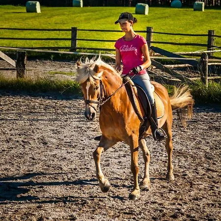 Oberstockinghof Πανσιόν 3*