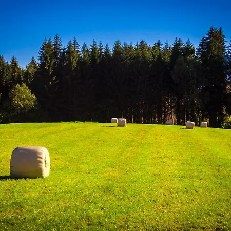 Oberstockinghof Guest house Saalfelden