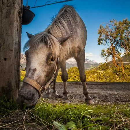 Oberstockinghof Πανσιόν