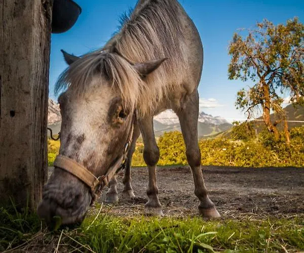 Oberstockinghof Guest house